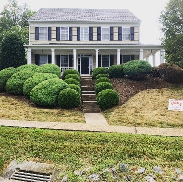 shrub trimming 2